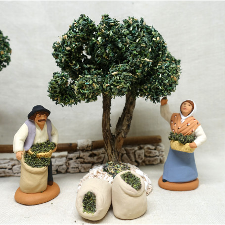 Scenes des olives